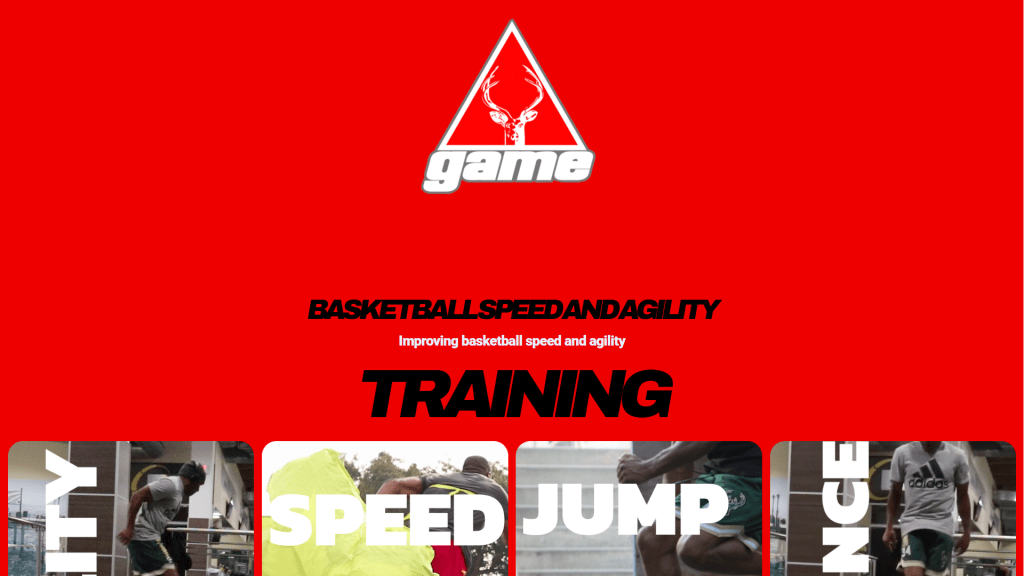 Basketballspeedandagility.com website image